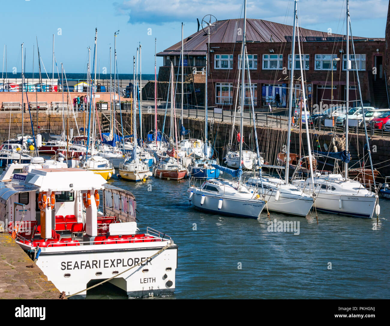 Sailing boats and Seafari Explorer catamaran , North Berwick harbour on sunny day, East Lothian, Scotland, UK Stock Photo