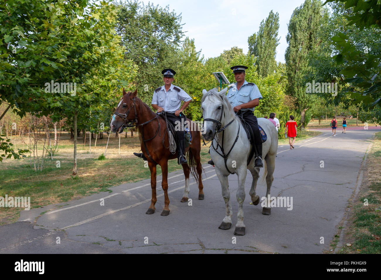 Police officers on horseback in Tineretului Park in Bucharest, Romania. Stock Photo