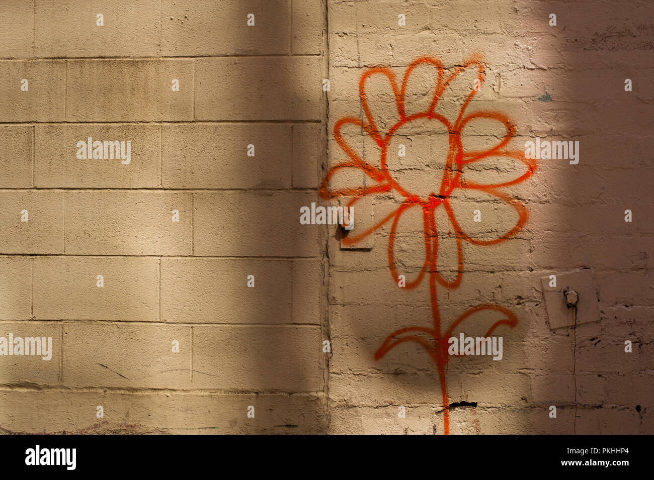 Sunflower painted on side of brick building in alley way Stock Photo