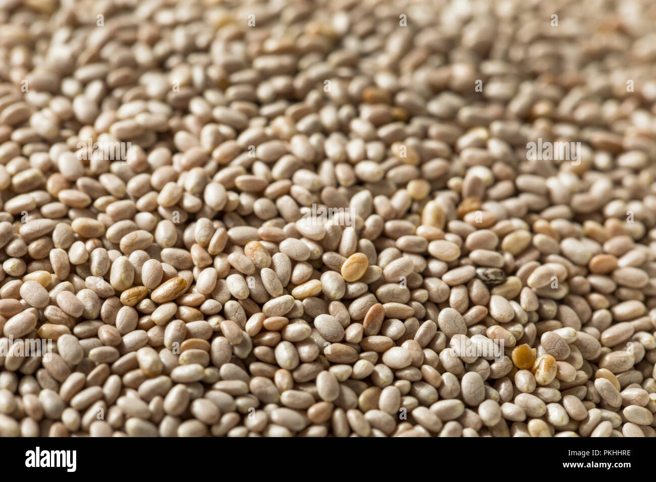 Dry Organic White Chia Seeds in a Bowl Stock Photo
