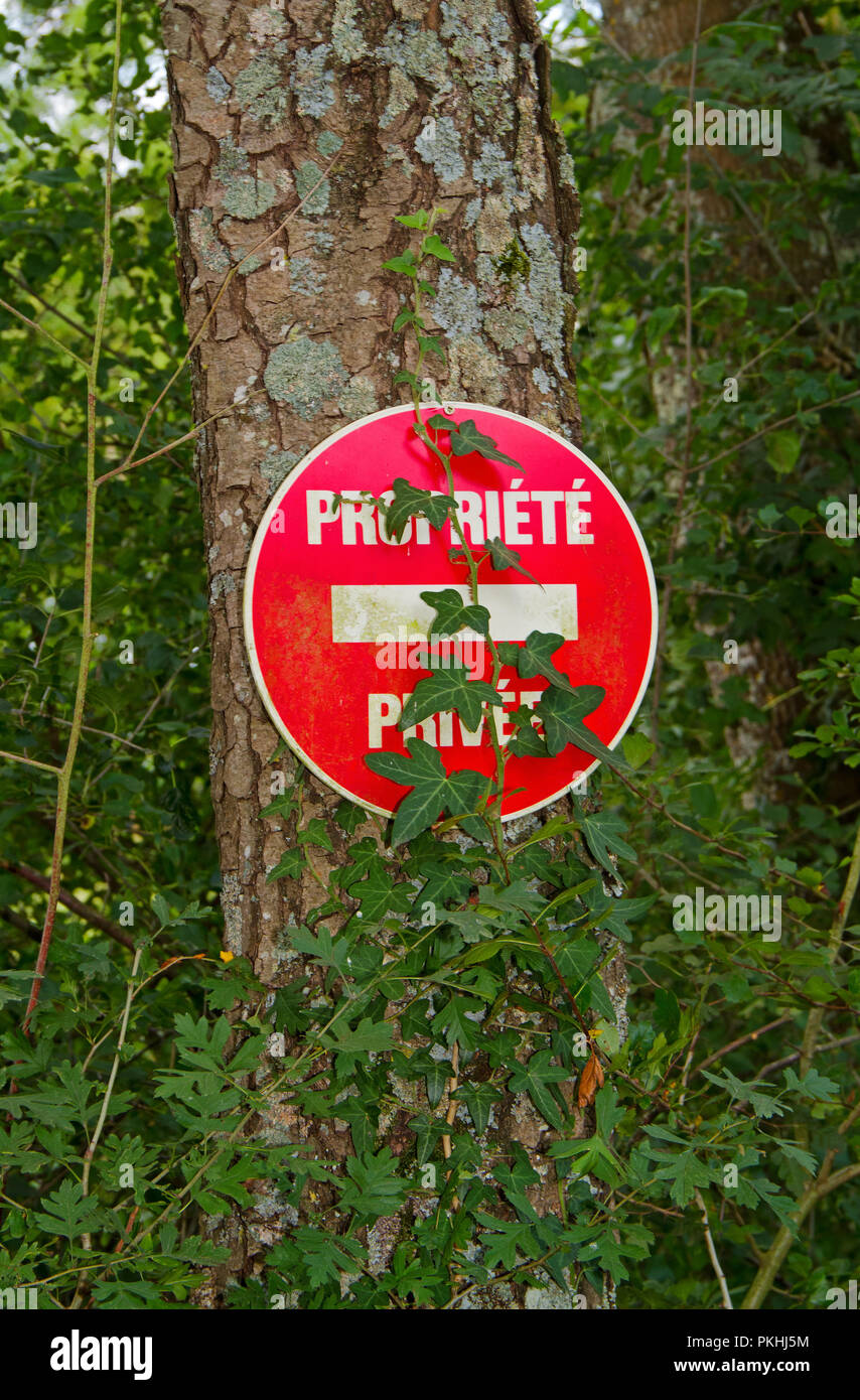 Private property sign (propriété privée in French), partly overgrown by  Ivy, attached to a tree at the edge of a forest Stock Photo