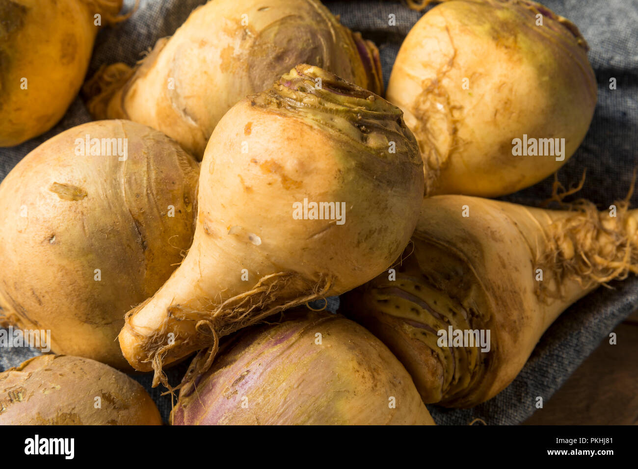 Healthy Raw Organic Brown Rutabaga Root Vegetables Stock Photo