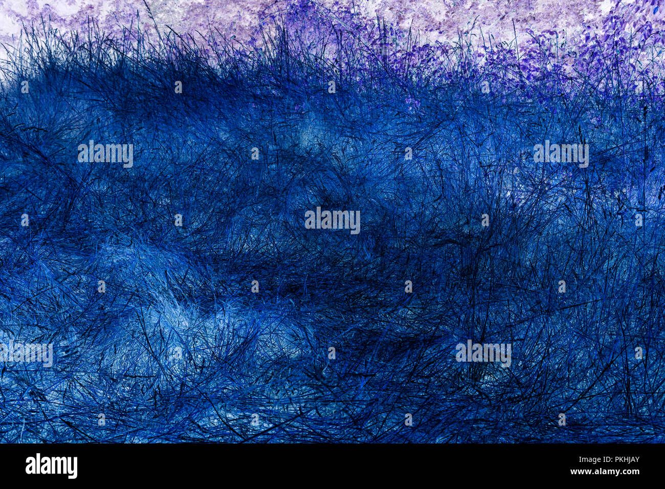 Dark blue abstract grass texture - background Stock Photo