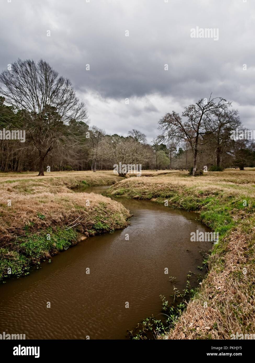 The Woodlands, TX USA - Feb. 20, 2018  -  Water Stream in a Woods 2 Stock Photo