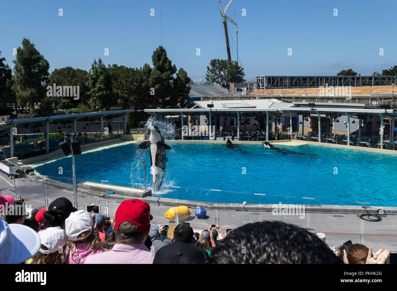 SeaWorld San Diego, California, USA Stock Photo - Alamy