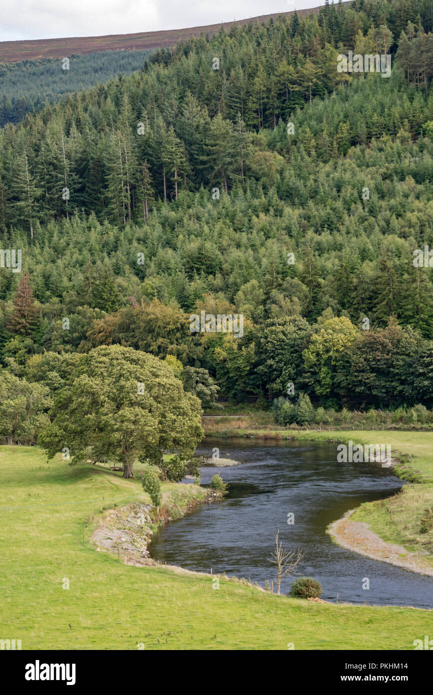 The River Dee in the picturesque Vale of llangollen, Wales, UK Stock Photo