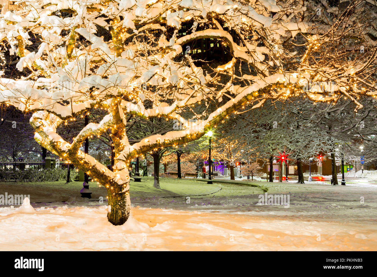 Boston christmas lights hires stock photography and images Alamy
