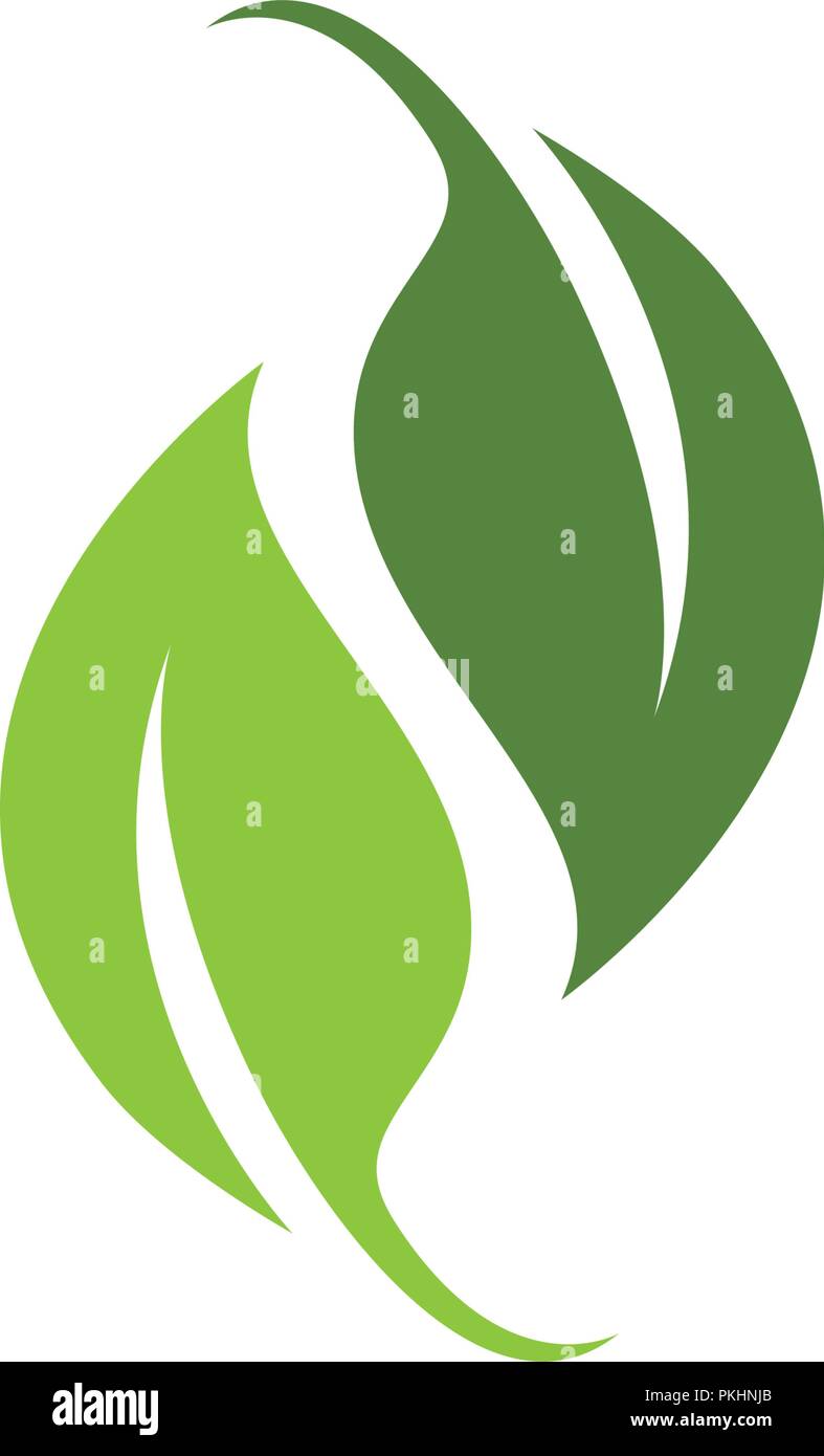 Logos of green Tree leaf ecology nature element vector Stock Vector ...