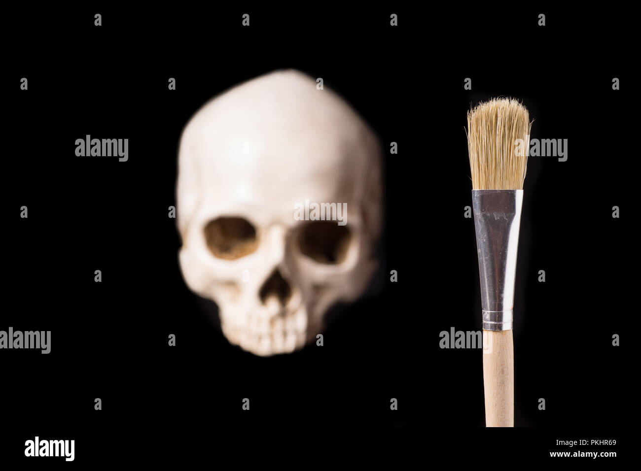 Skull and brush isolated on black background with copyspace Stock Photo