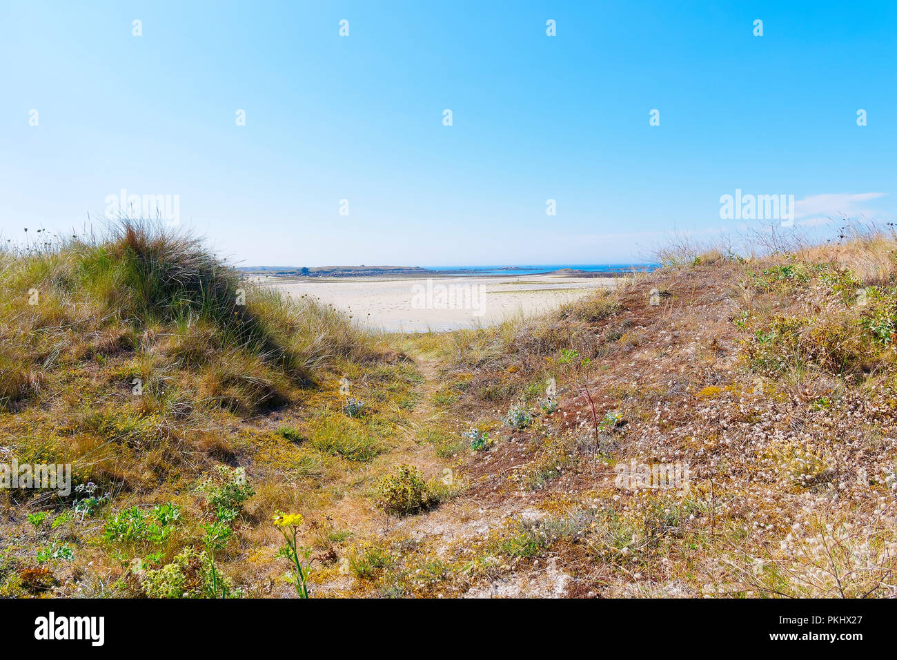 A small gap leads from grass and wildflower covered mounds to Plage