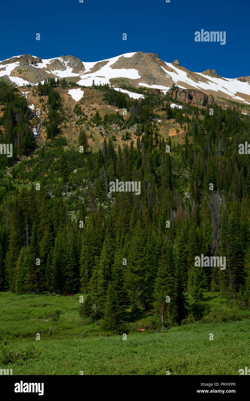 Henderson Mountain, Gallatin National Forest, Montana Stock Photo Alamy