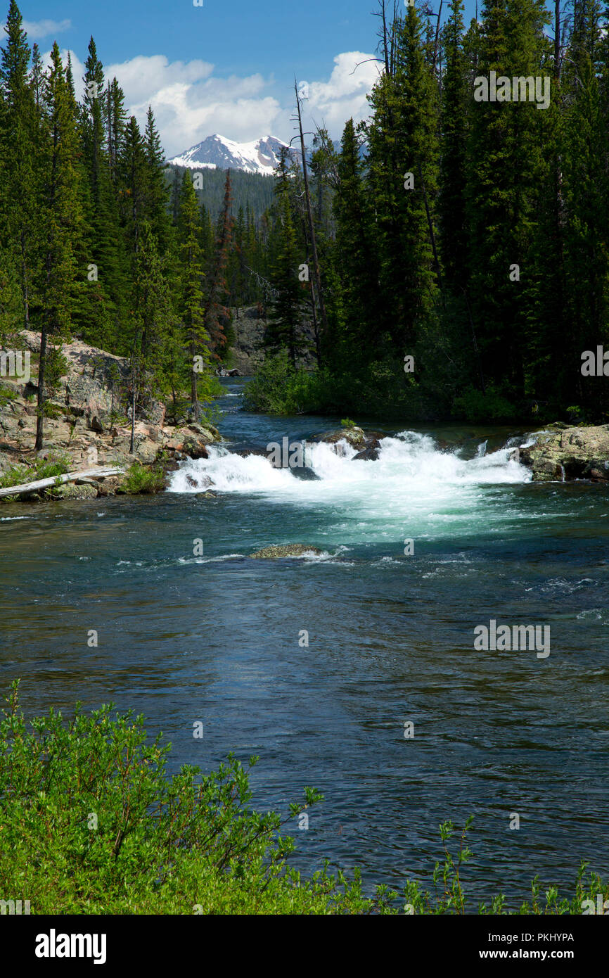 Clarks Fork of the Yellowstone at Clarks Fork Picnic Area, Gallatin National Forest, Beartooth Scenic Byway,  Montana Stock Photo