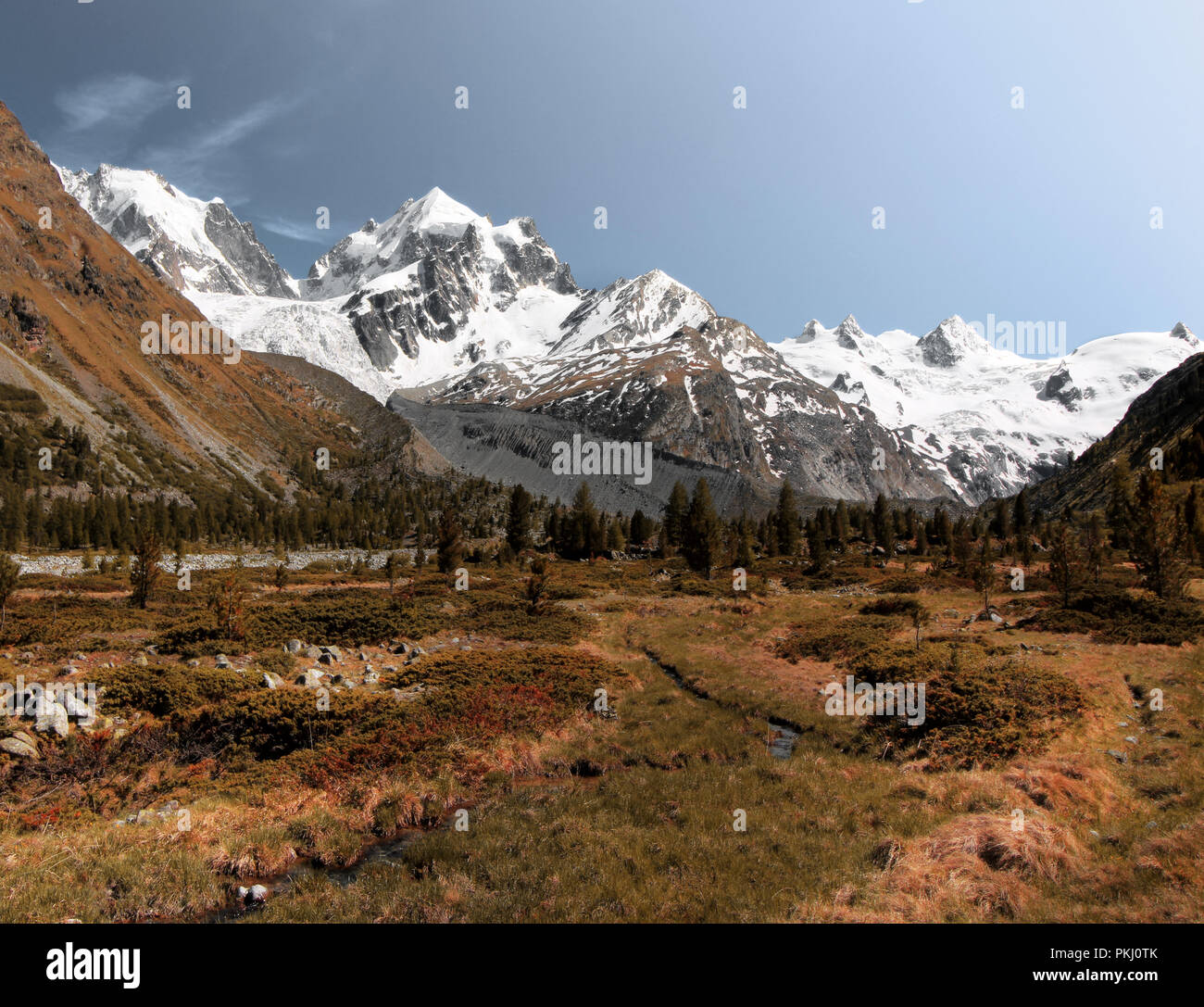 Val Roseg and Bernina Peak Stock Photo