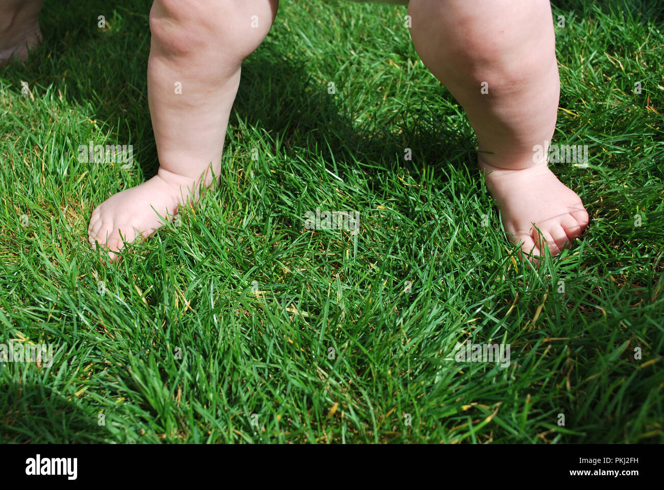 toddler standing bare feet and legs on green grass with shadows taking first steps Stock Photo