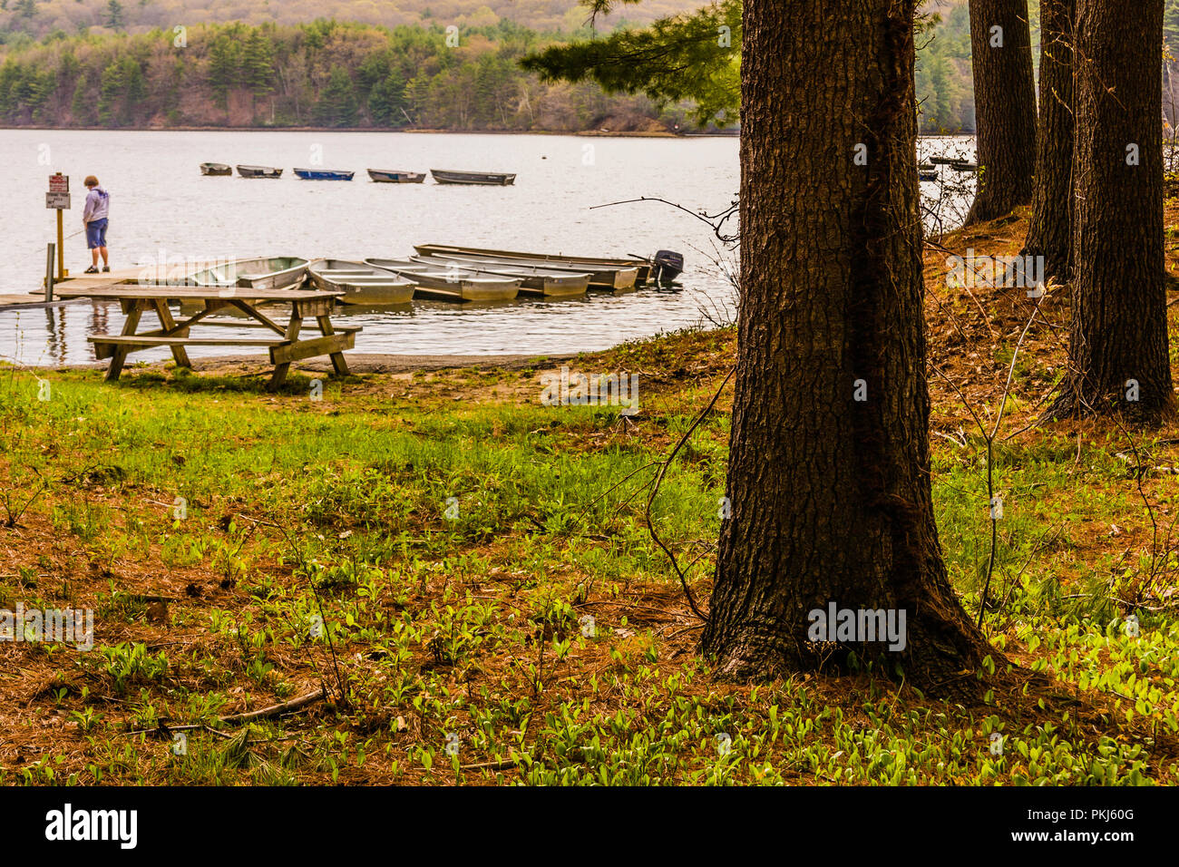 Boats Lake McDonough Barkhamsted, Connecticut, USA Stock Photo Alamy