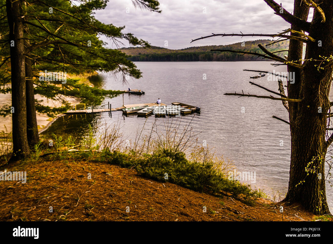 Boats Lake McDonough Barkhamsted, Connecticut, USA Stock Photo Alamy
