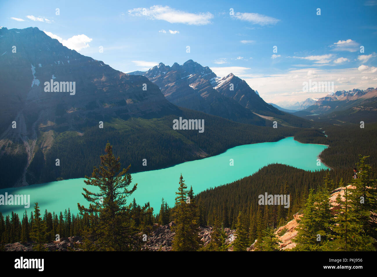 Peyto Lake from Bow Summit, Alberta Canada Stock Photo