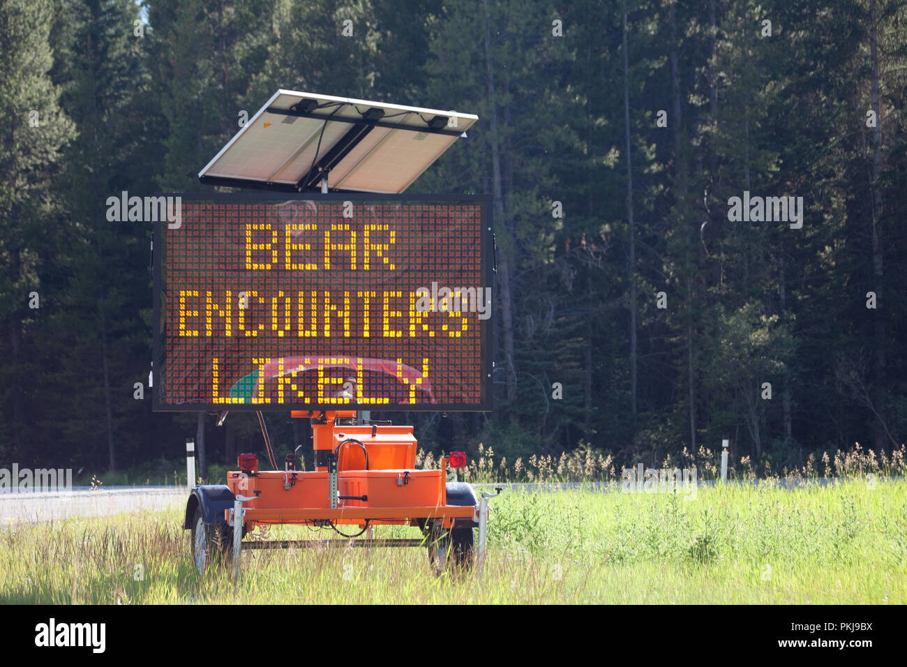 Road sign, bear encounters likely Stock Photo