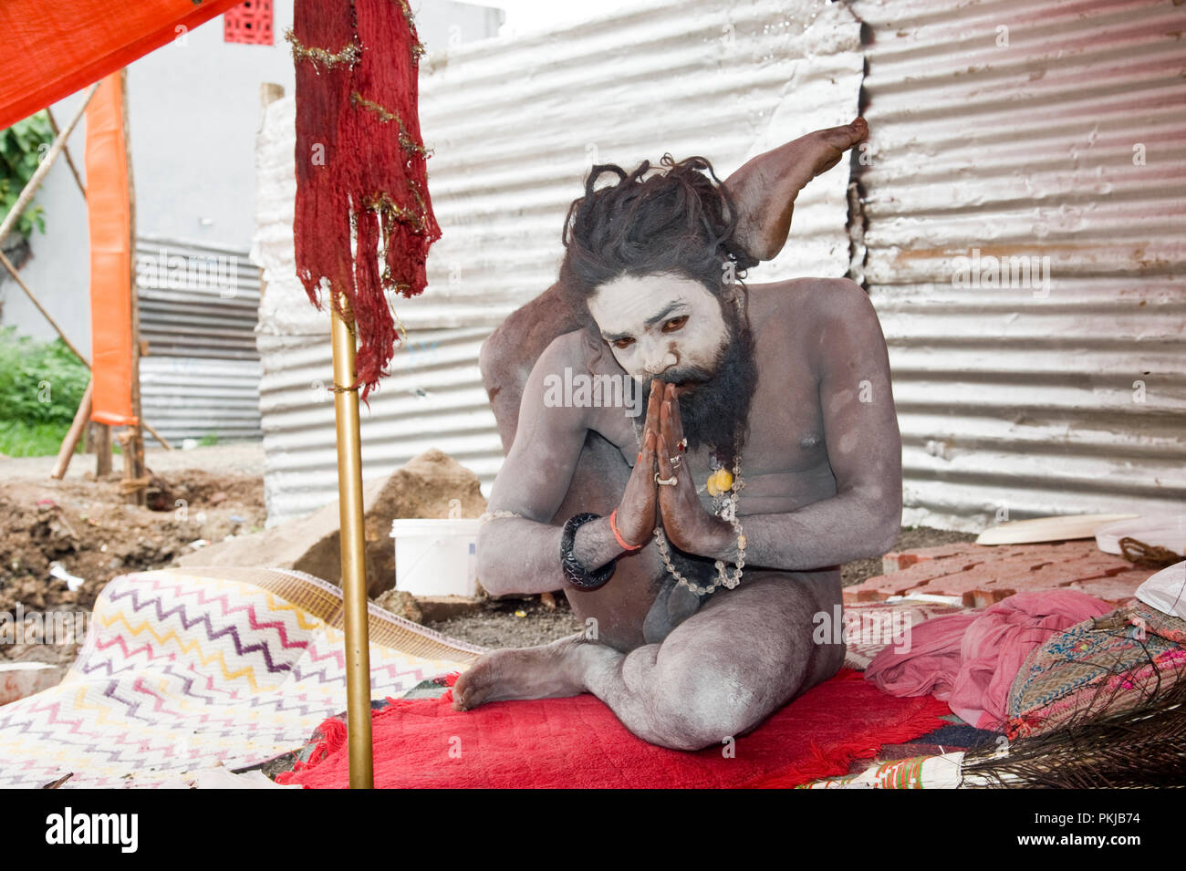 Naga baba sadhu doing yoga at nashik Kumbh Mela maharashtra India Stock Photo