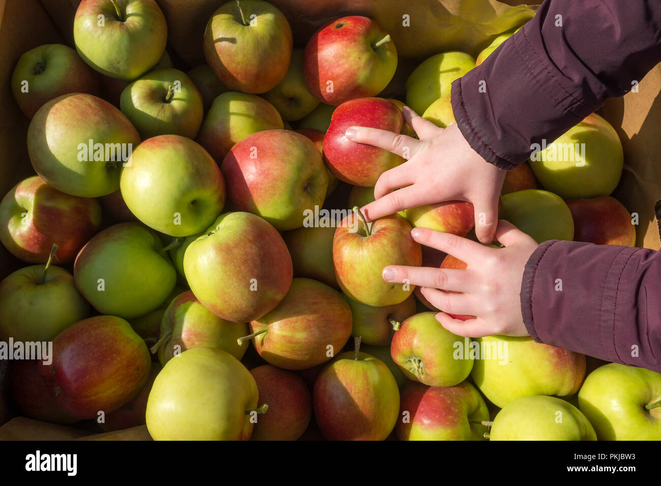 Piced hi-res stock photography and images - Alamy