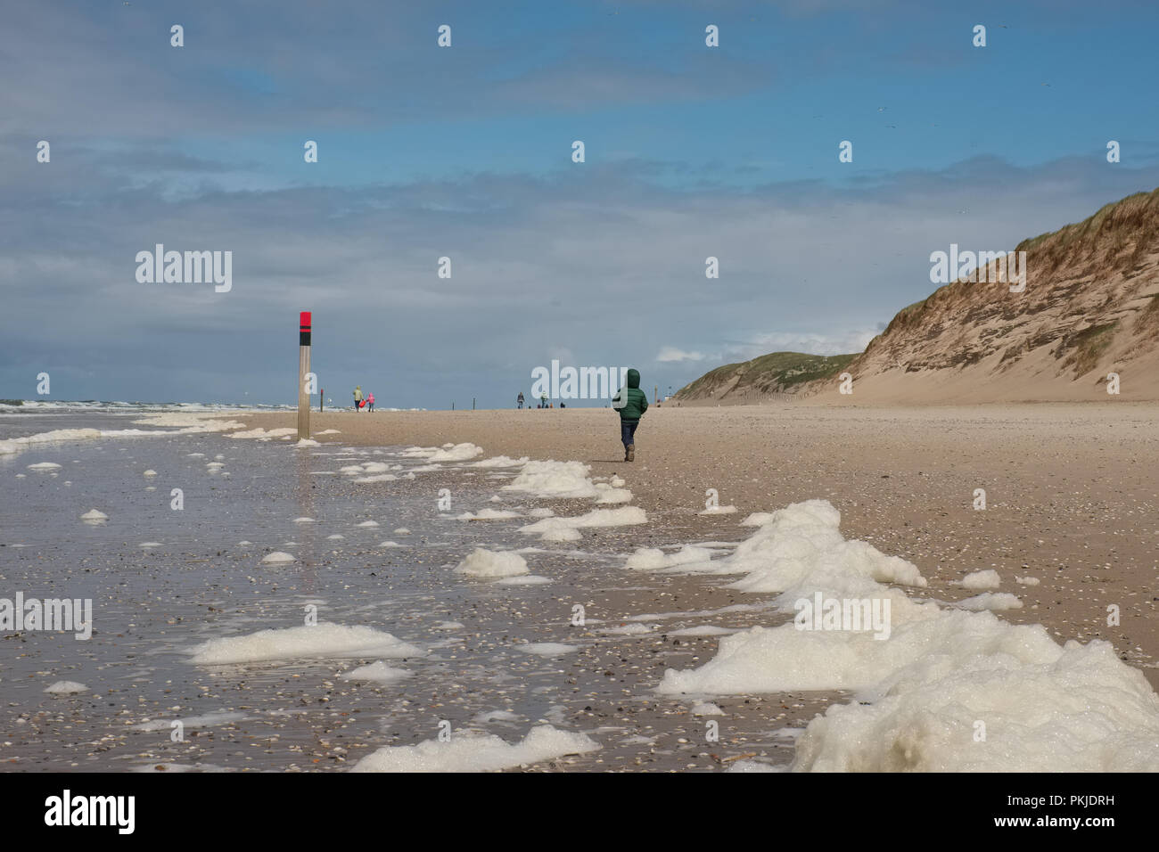 Algae (type Phaeocystis ) cover a beach in Texel, the biggest of the Waddeneilanden. Stock Photo