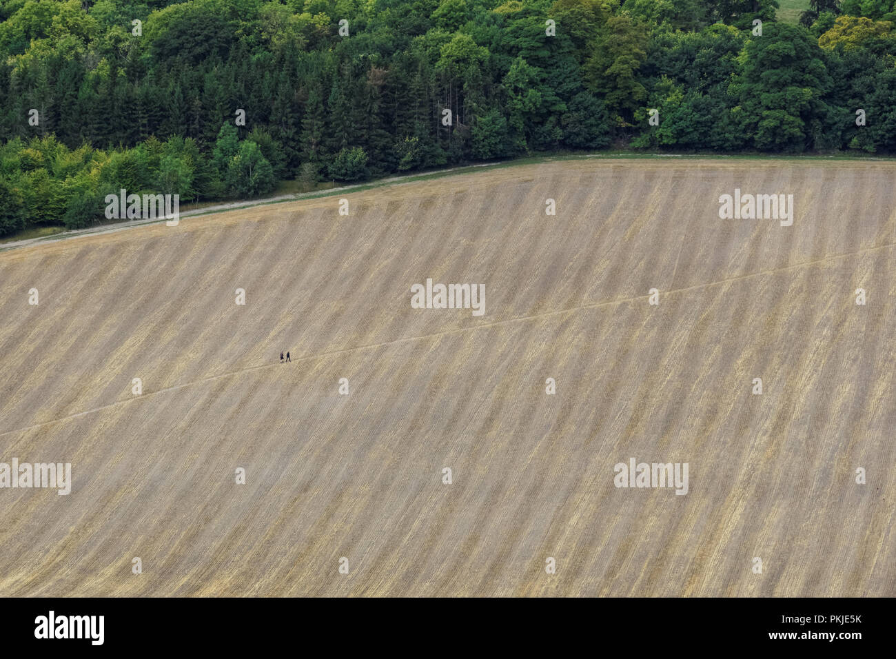 Chilterns Buckinghamshire Walkers Hi res Stock Photography And Images 