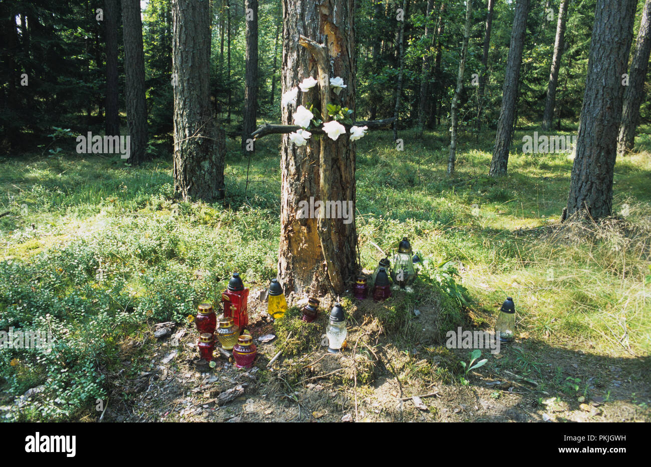 Roadside shrine to somebody killed in a road traffic accident in the Augustow forest in the Suwalszczyzna region of north east Poland August 2007 Stock Photo