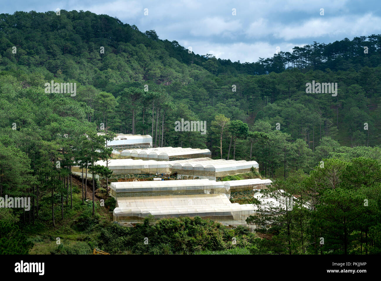 Dalat vegetable farms. View of many greenhouses in Dalat, Vietnam. The