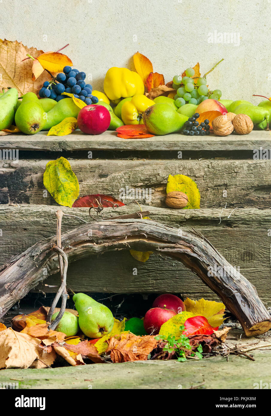 autumnal harvest still life with apples, pears, grapes, nuts and berries in foliage on wooden board and white wall background Stock Photo