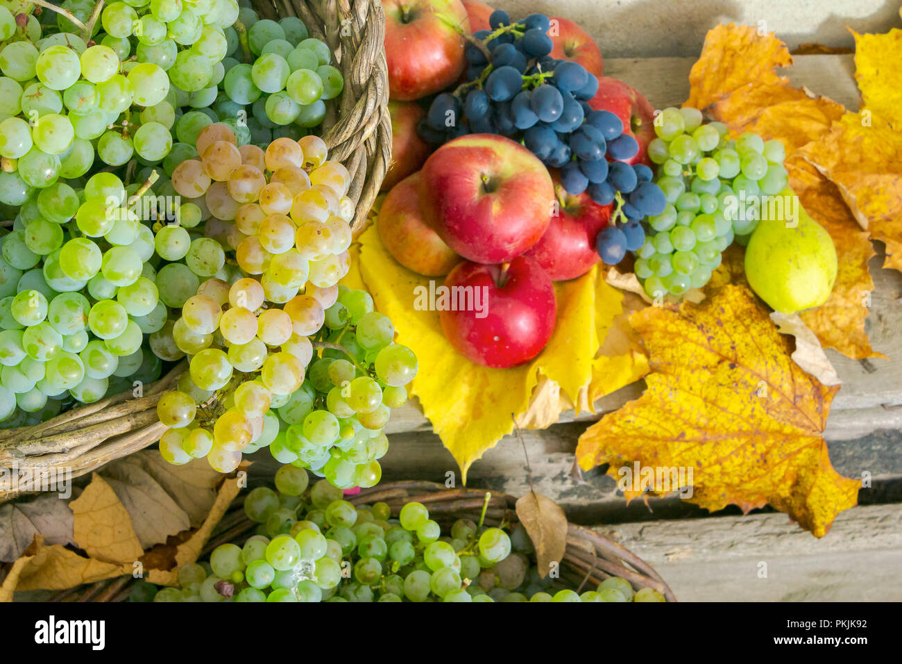 autumnal harvest still life with apples, pears, grapes, nuts and berries in foliage on wooden board. horizontal Stock Photo