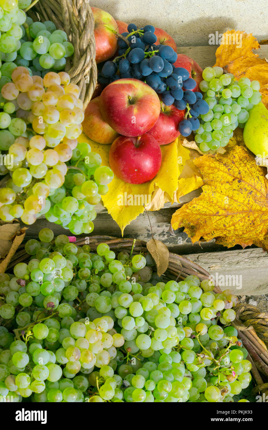 autumnal harvest still life with apples, pears, grapes, nuts and berries in foliage on wooden board. vertical Stock Photo