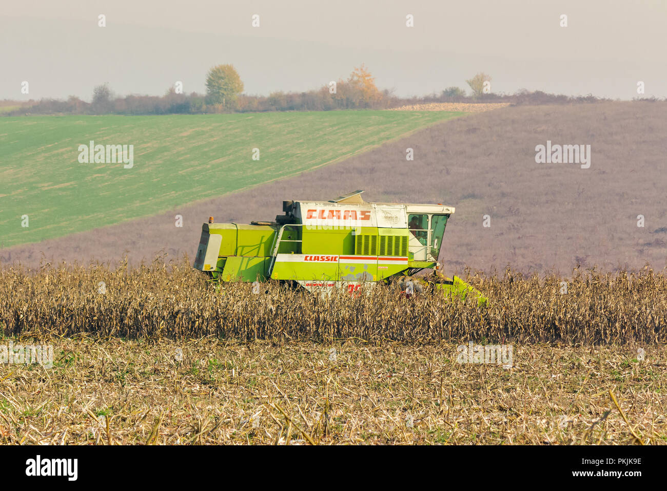 Shyroke, Ukraine - NOV 11, 2015:  harvester in the field removes the corn stalks in late fall haze day Stock Photo