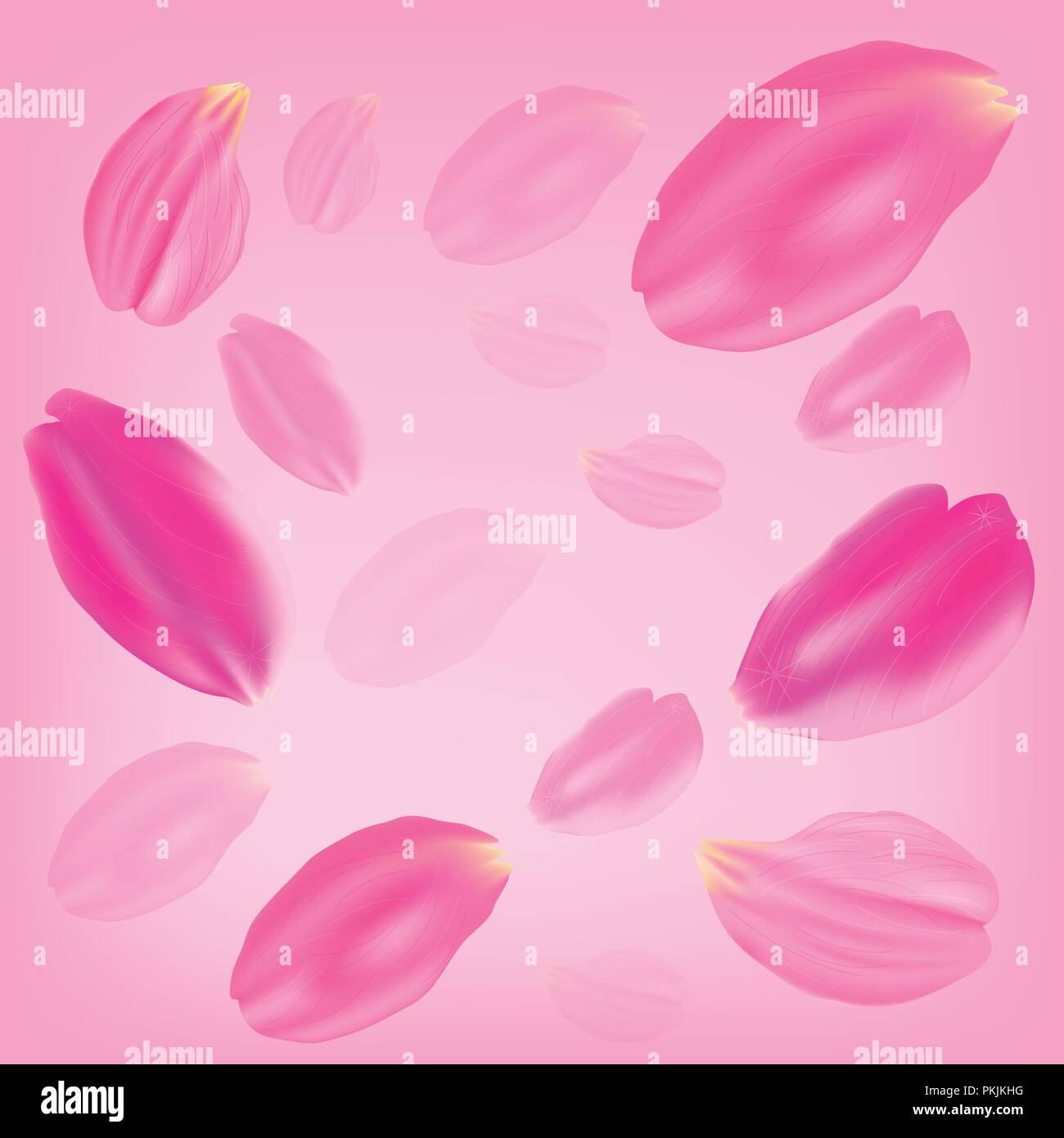 Vector illustration. Set of pink rose petals on a pink background Stock ...