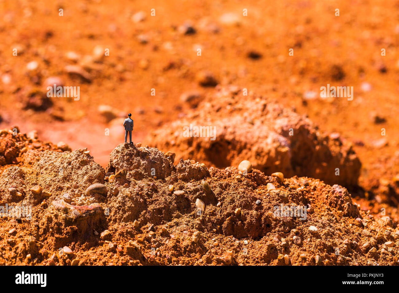 Business man on the rocky area is rocky. Imagine doing business on Mars. Stock Photo