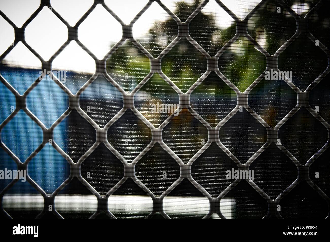 Looking outside through a wire mesh fly-wire screen door during the day. Stock Photo
