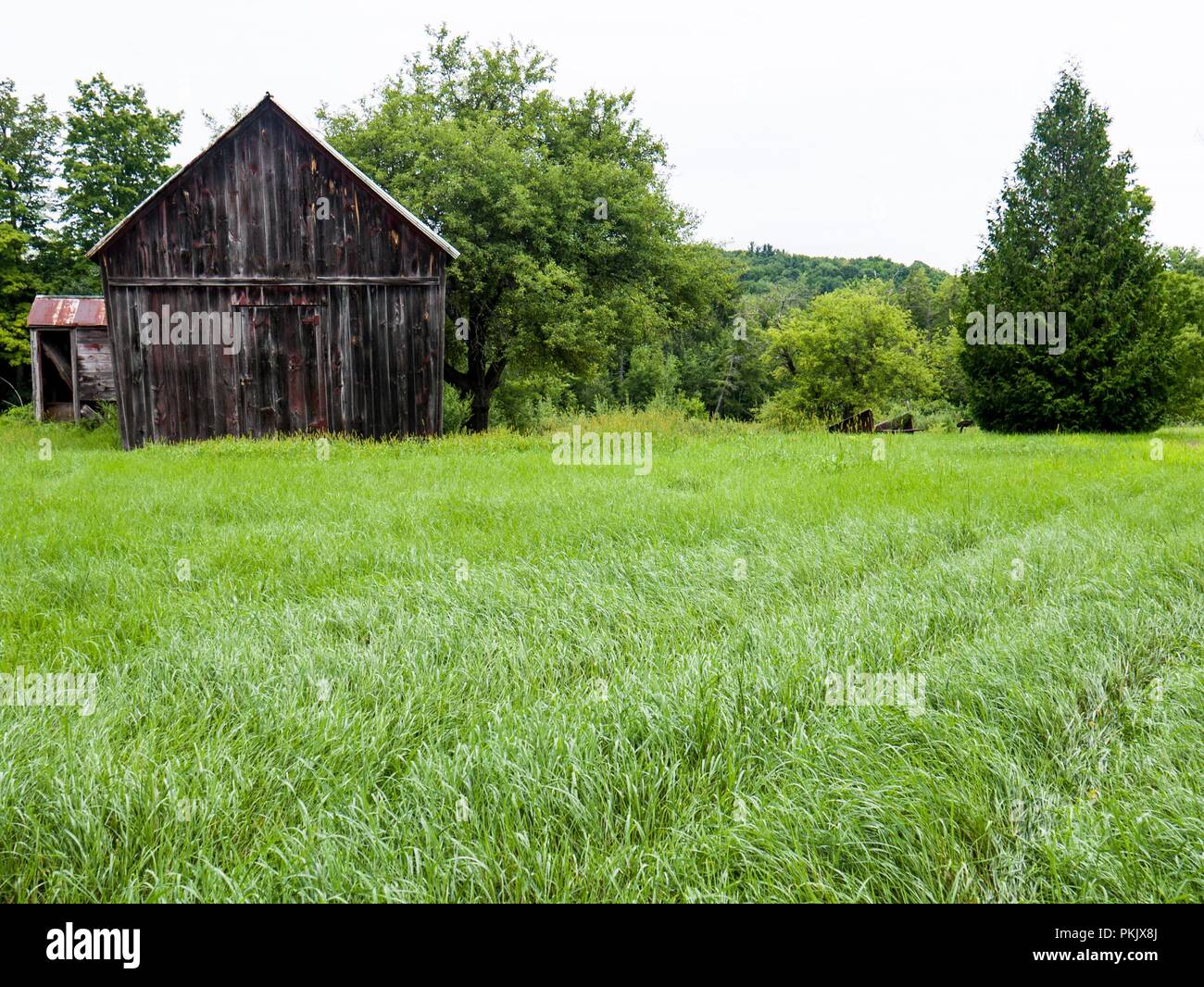 Old farm building in a field of green Stock Photo