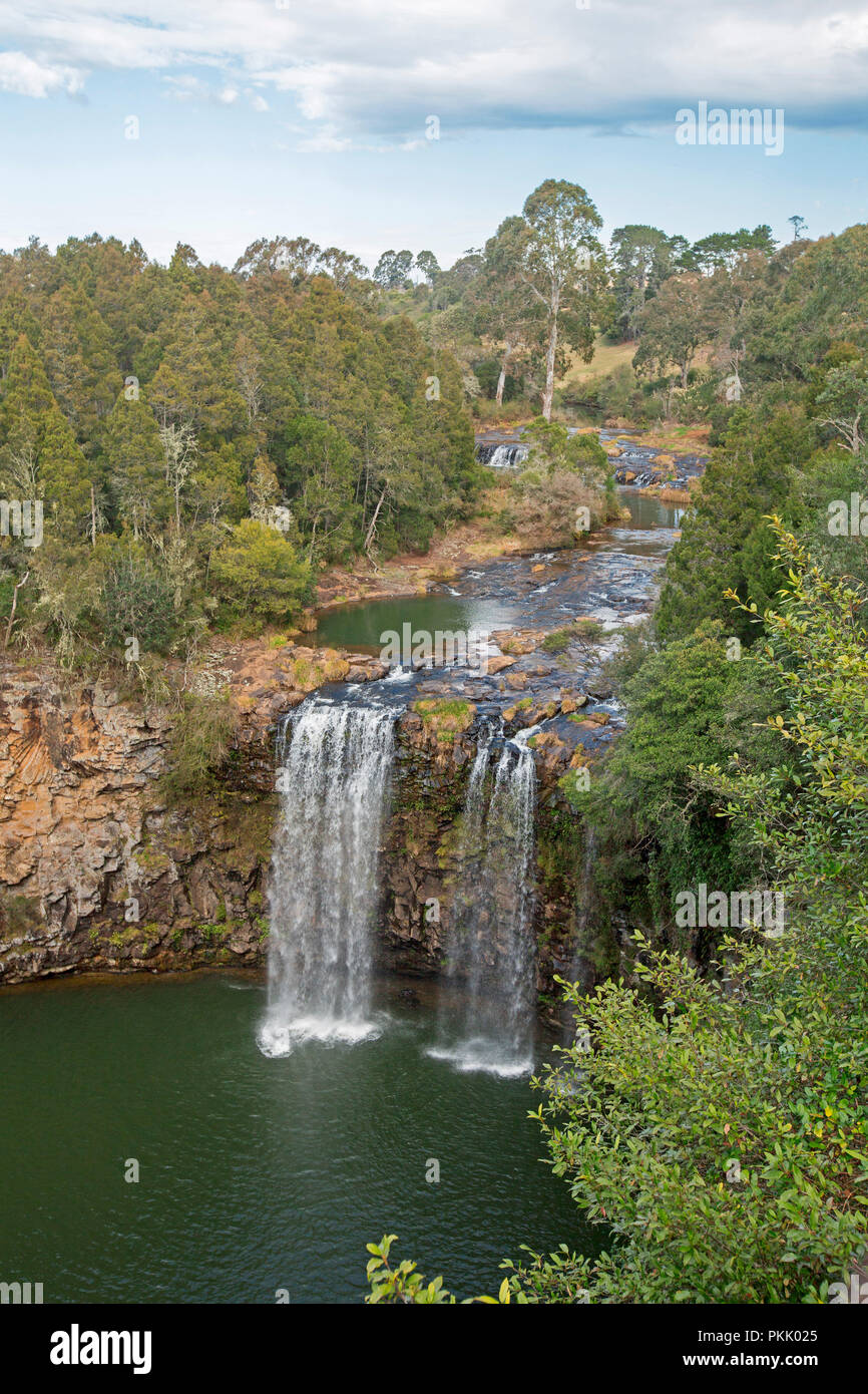 Spectacular Dangar Falls on Bellinger River pouring over rocky cliffs hemmed with forests and splashing into emerald pool near Dorrigo, NSW Australia Stock Photo