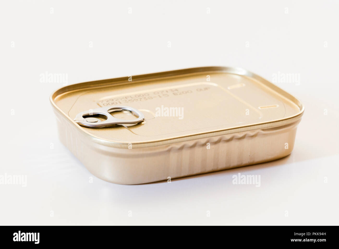 Unopened sardines can (sardines tin) - USA Stock Photo