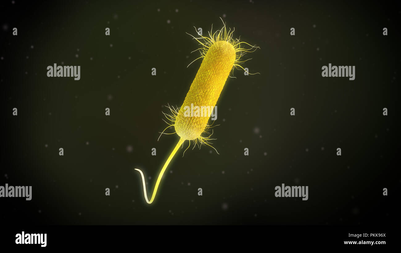 3d illustration of a Pseudomonas Aeruginosa Bacteria Stock Photo