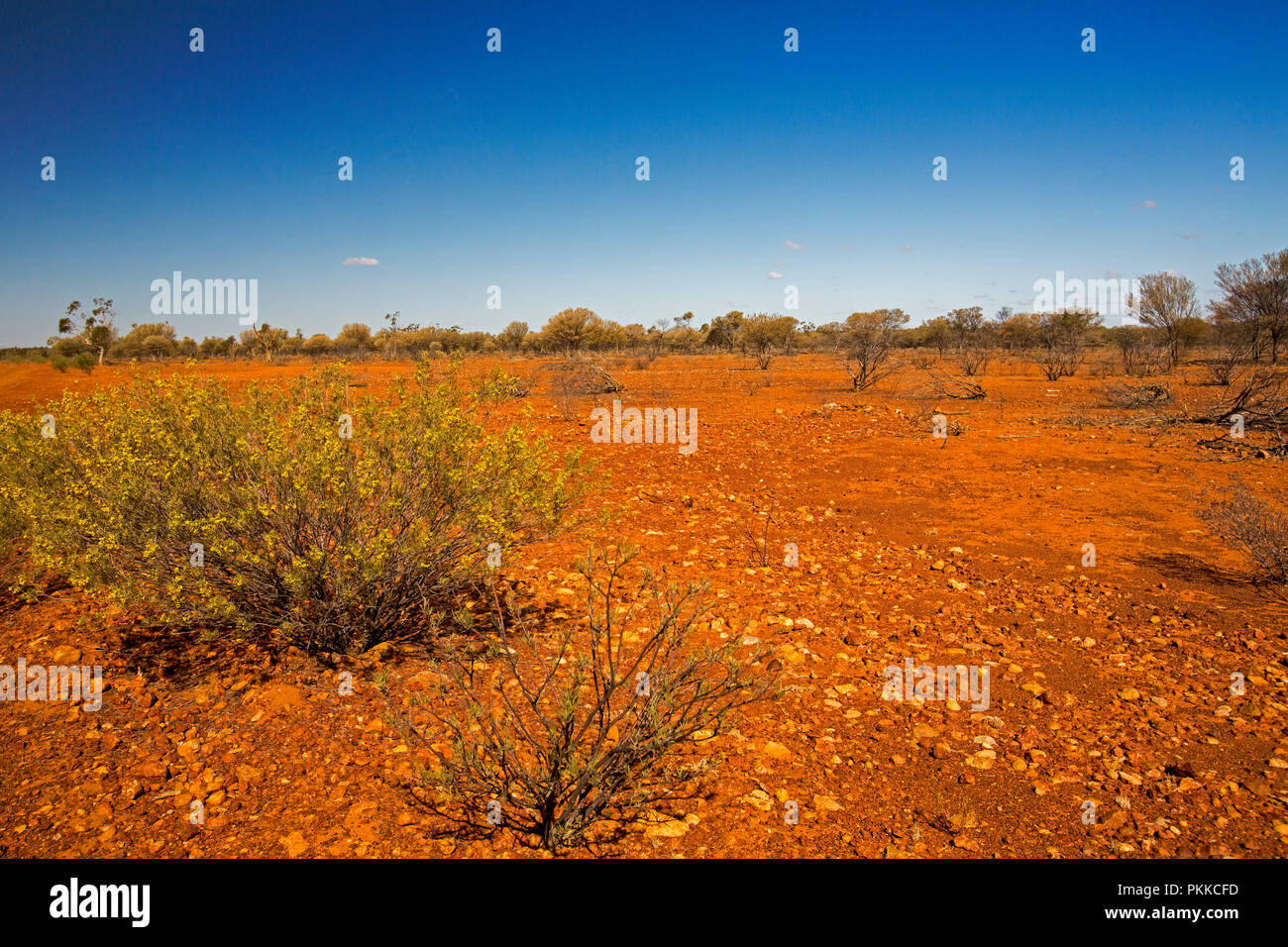 Australian outback landscape during drought with barren red and stony plains stretching to horizon under blue sky in Queensland Stock Photo