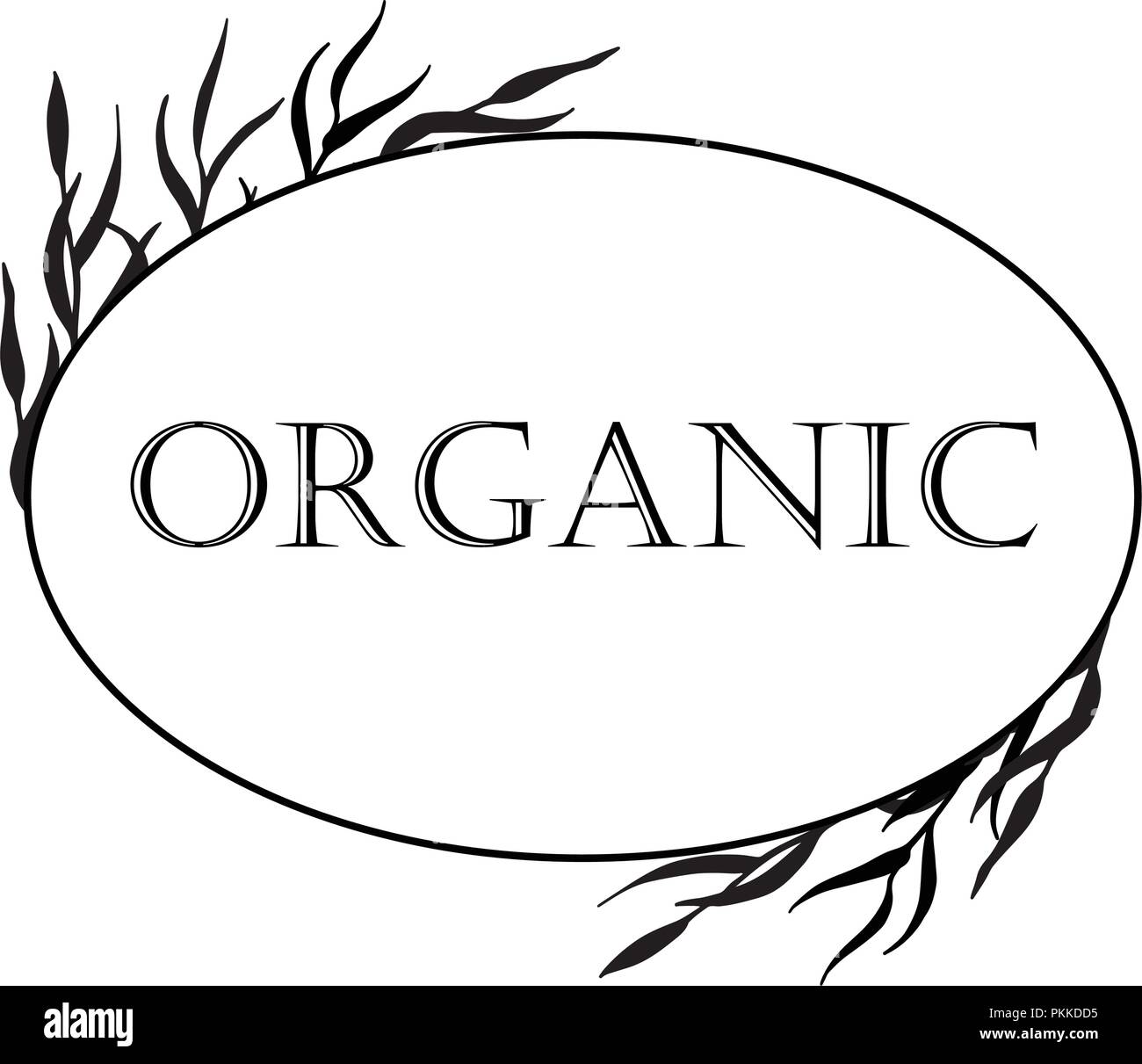 Black-and-white illustration in a frame with hand-drawn medicinal herbs for organic cosmetics. Stock Vector