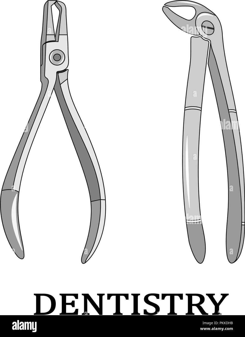 Vector illustration of dental tools. Dental nippers Stock Vector Image