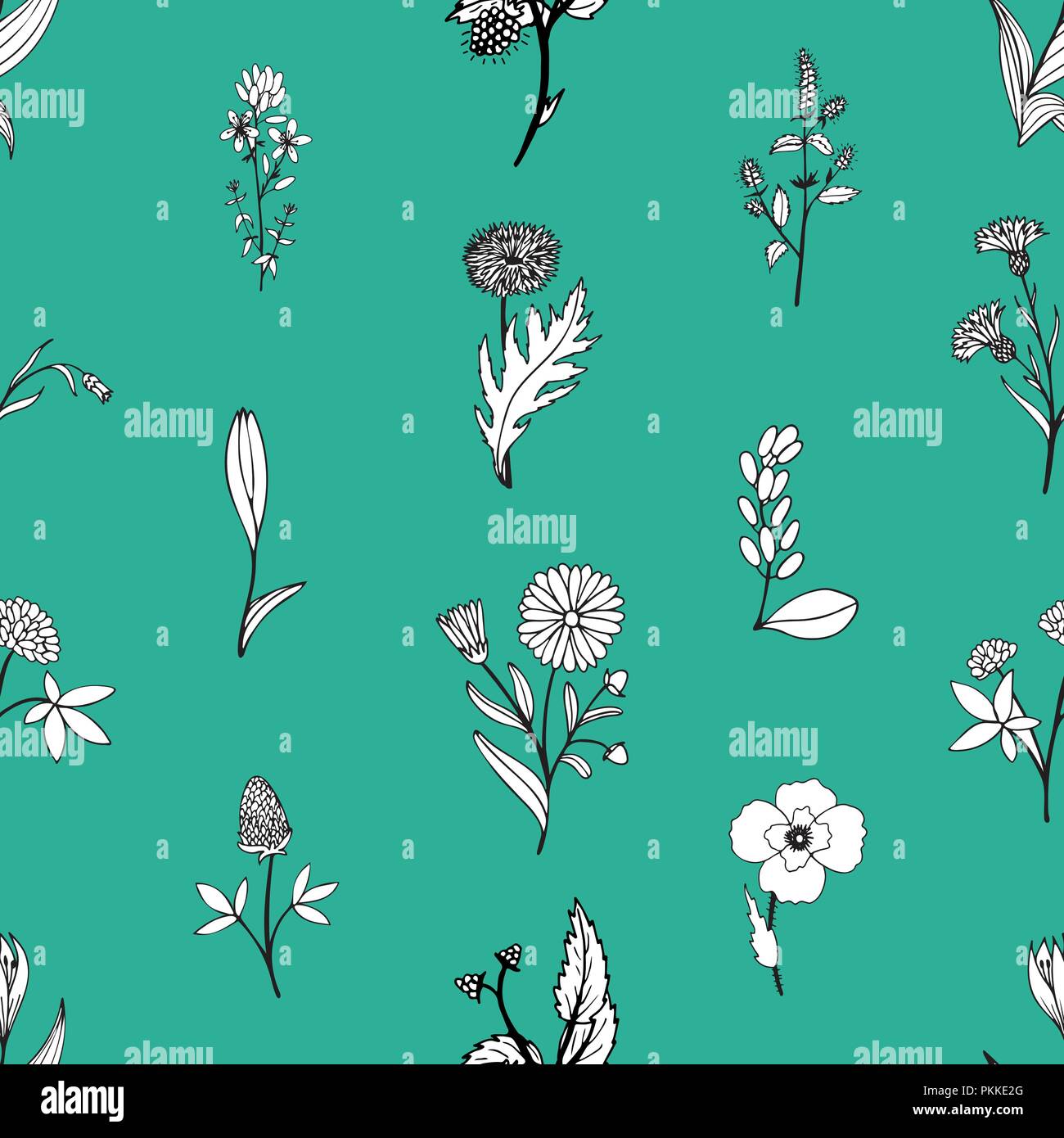 Herbs medicinal plants botanical illustration hi-res stock photography ...