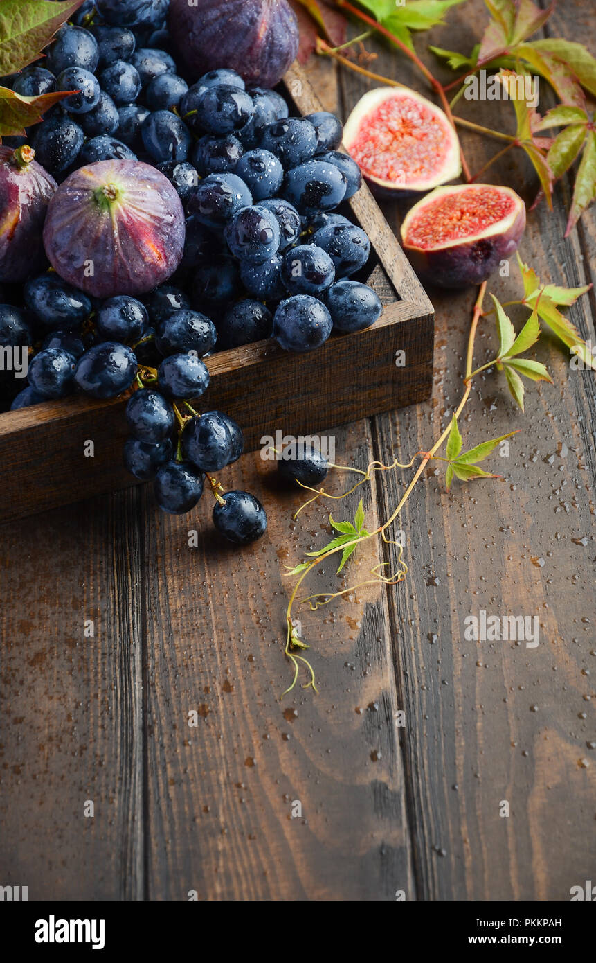 Fresh Black Grapes and Figs in Dark Wooden Tray on Wooden Table Selective focus Stock Photo