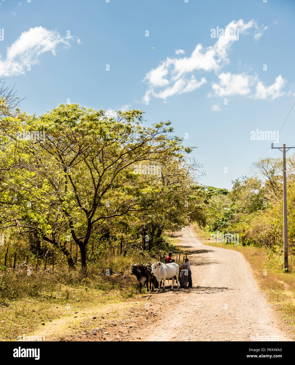 A typical view in Ometepe in Nicaragua Stock Photo
