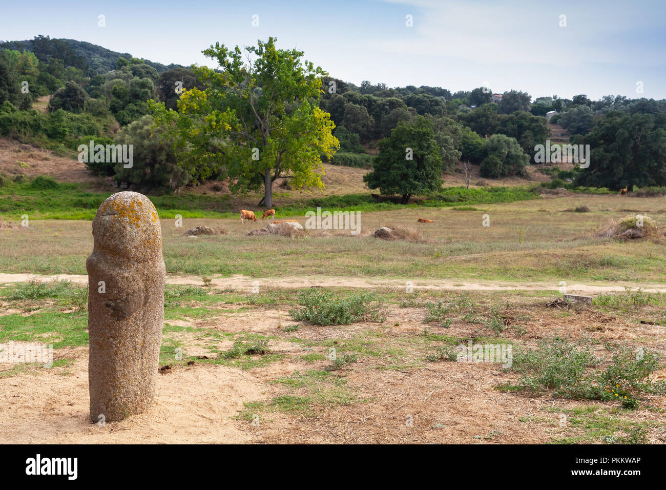 Prehistoric stone statue of Menhir in Filitosa. It is a megalithic site in southern Corsica, France Stock Photo