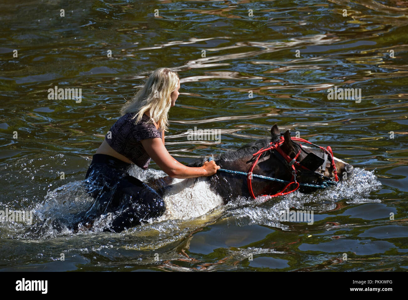 Gypsy traveller girl riding horse in River Eden. Appleby Horse Fair 2018. Appleby-in-Westmorland, Cumbria, England, United Kingdom, Europe. Stock Photo