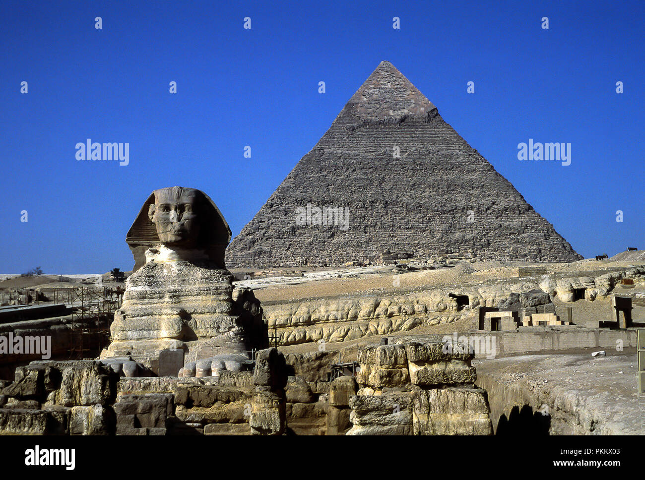 Giza, Egypt,03/11/2010: Great Sphinx of Giza in close-up and a pyramid in the background Stock Photo