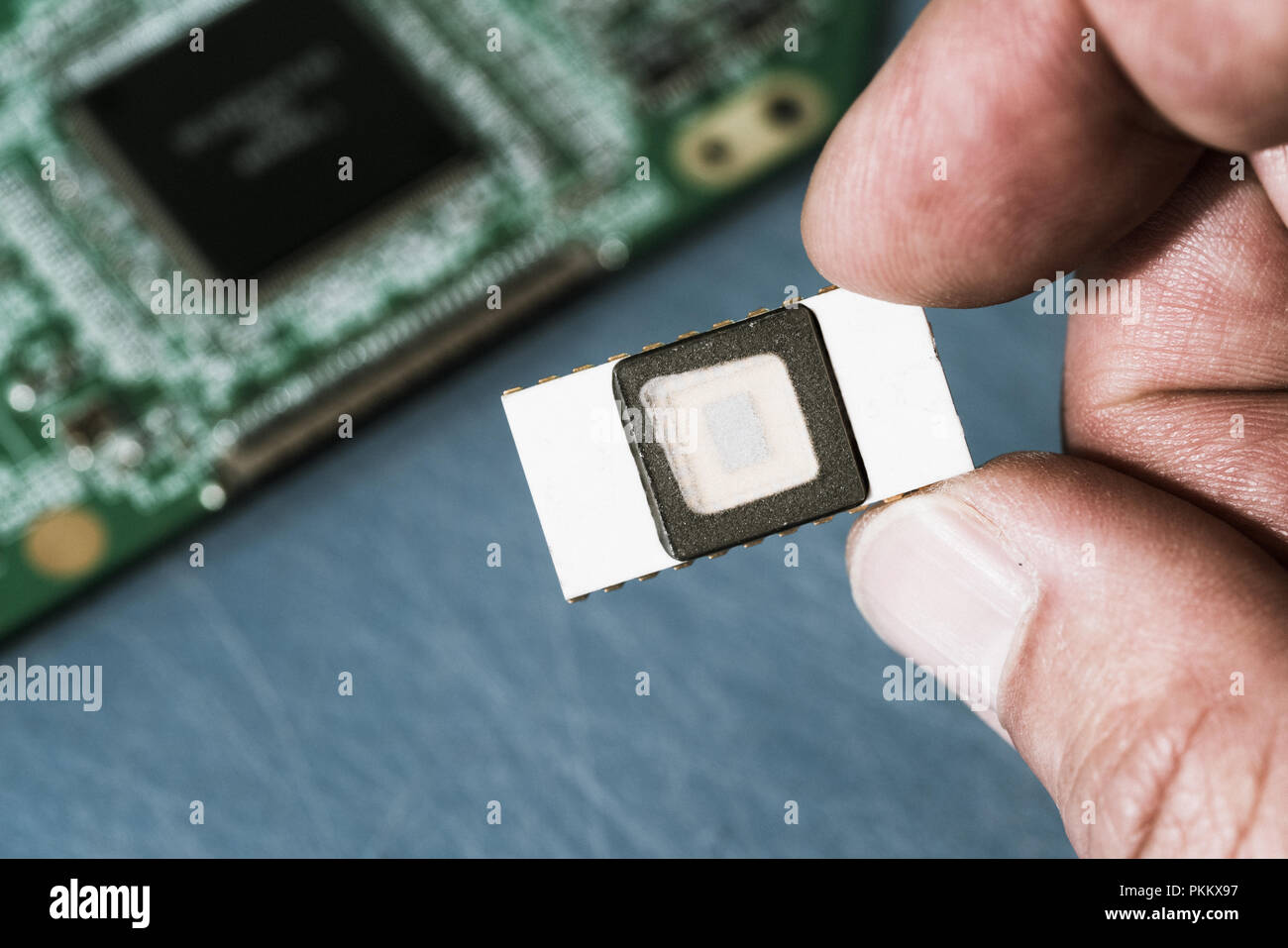 Silicon ceramic chip in the hand Stock Photo