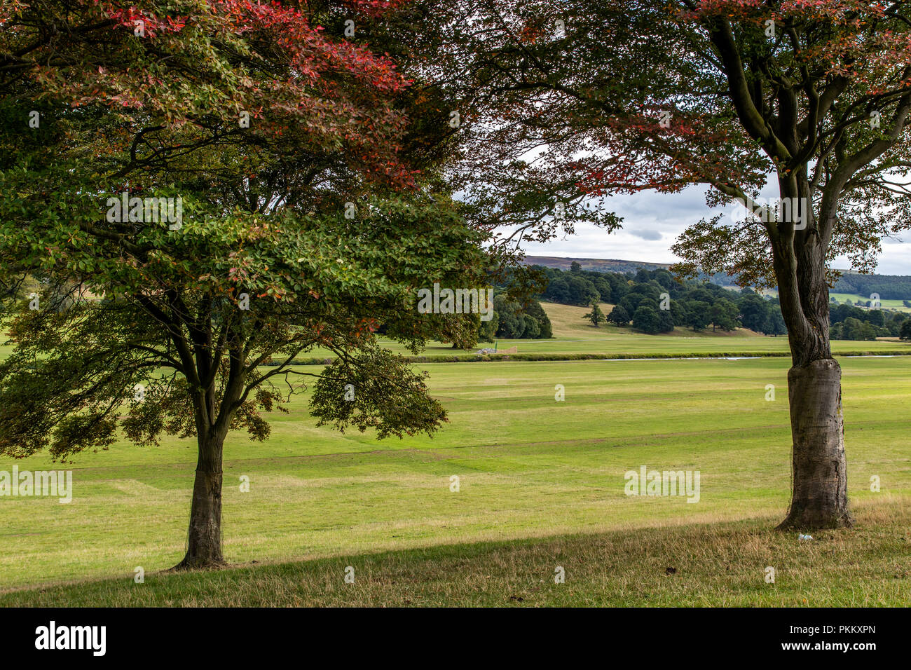 The Chatsworth Settlement has a wide range of sources of in